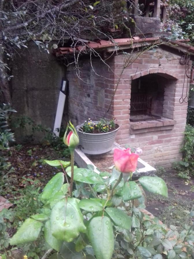 Casa Patti Alle Porte Di Сиена Екстериор снимка