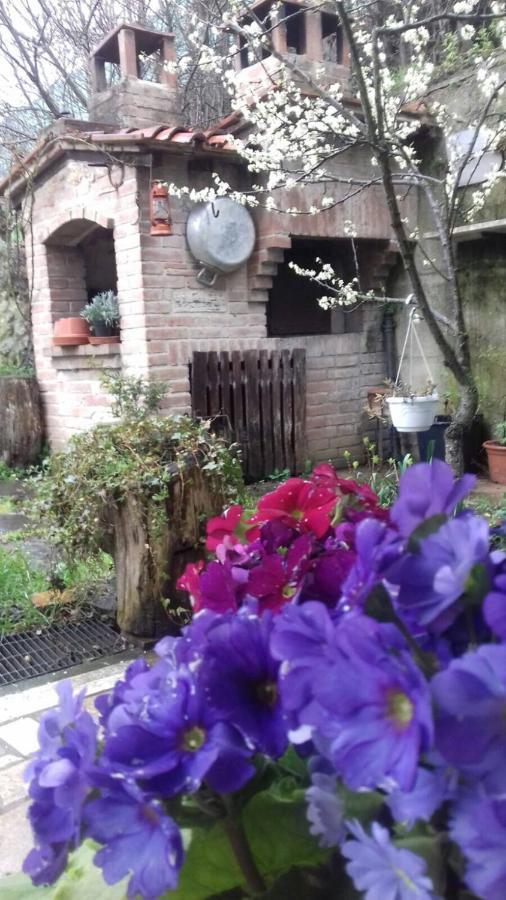 Casa Patti Alle Porte Di Сиена Екстериор снимка