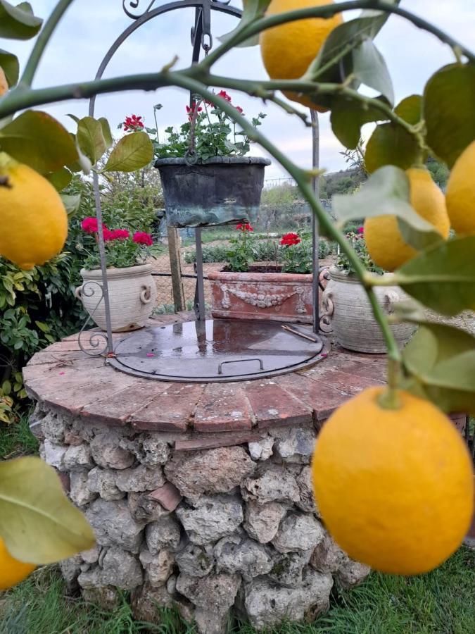 Casa Patti Alle Porte Di Сиена Екстериор снимка