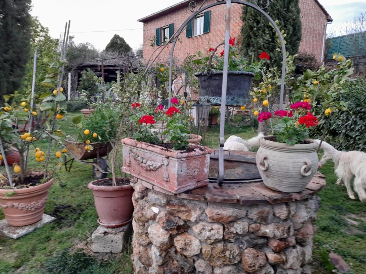 Casa Patti Alle Porte Di Сиена Екстериор снимка